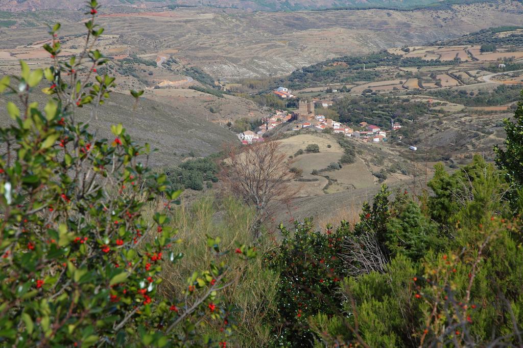 Vivienda Turistica Los Mesones Agreda Luaran gambar